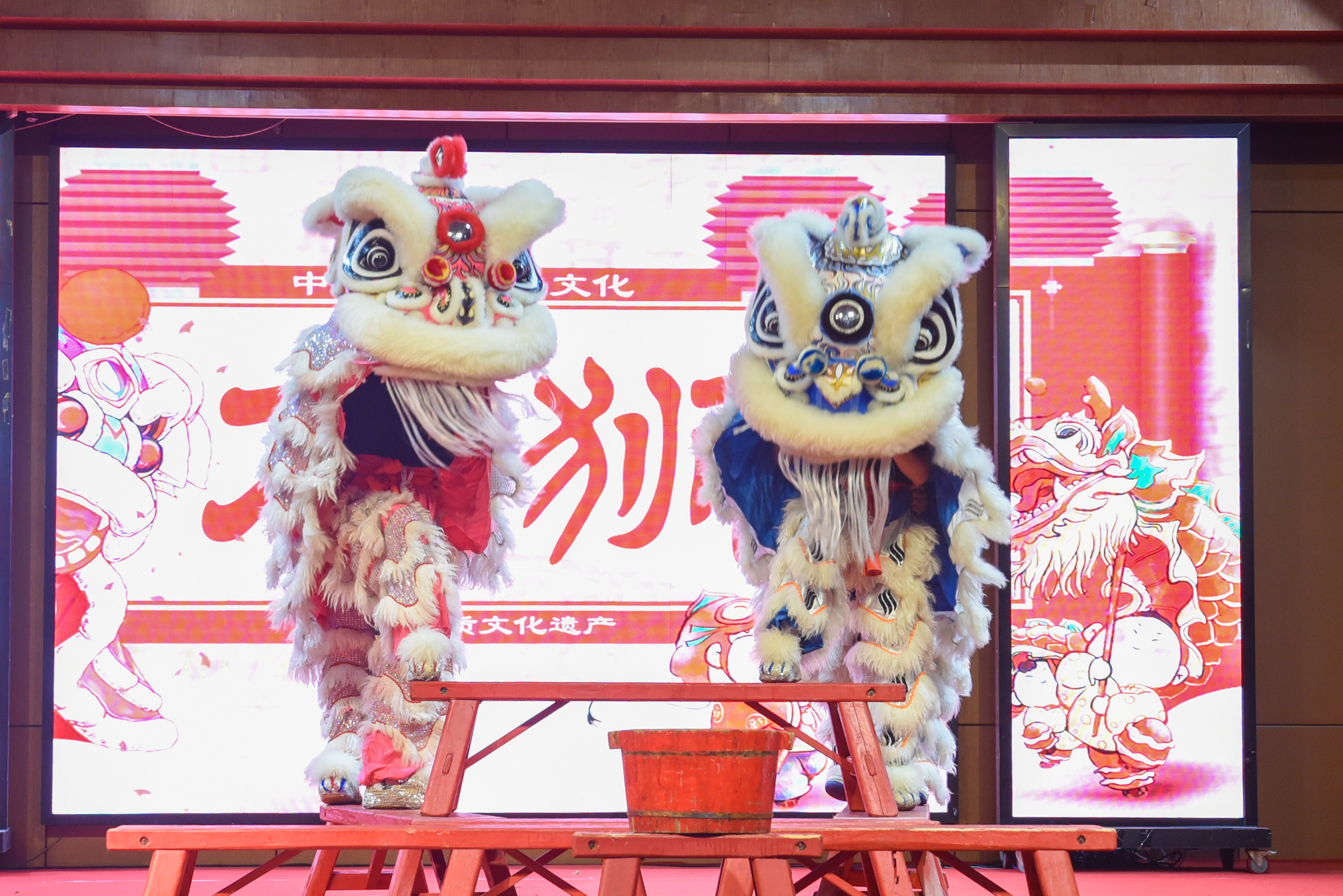 图七:舞狮表演.jpg